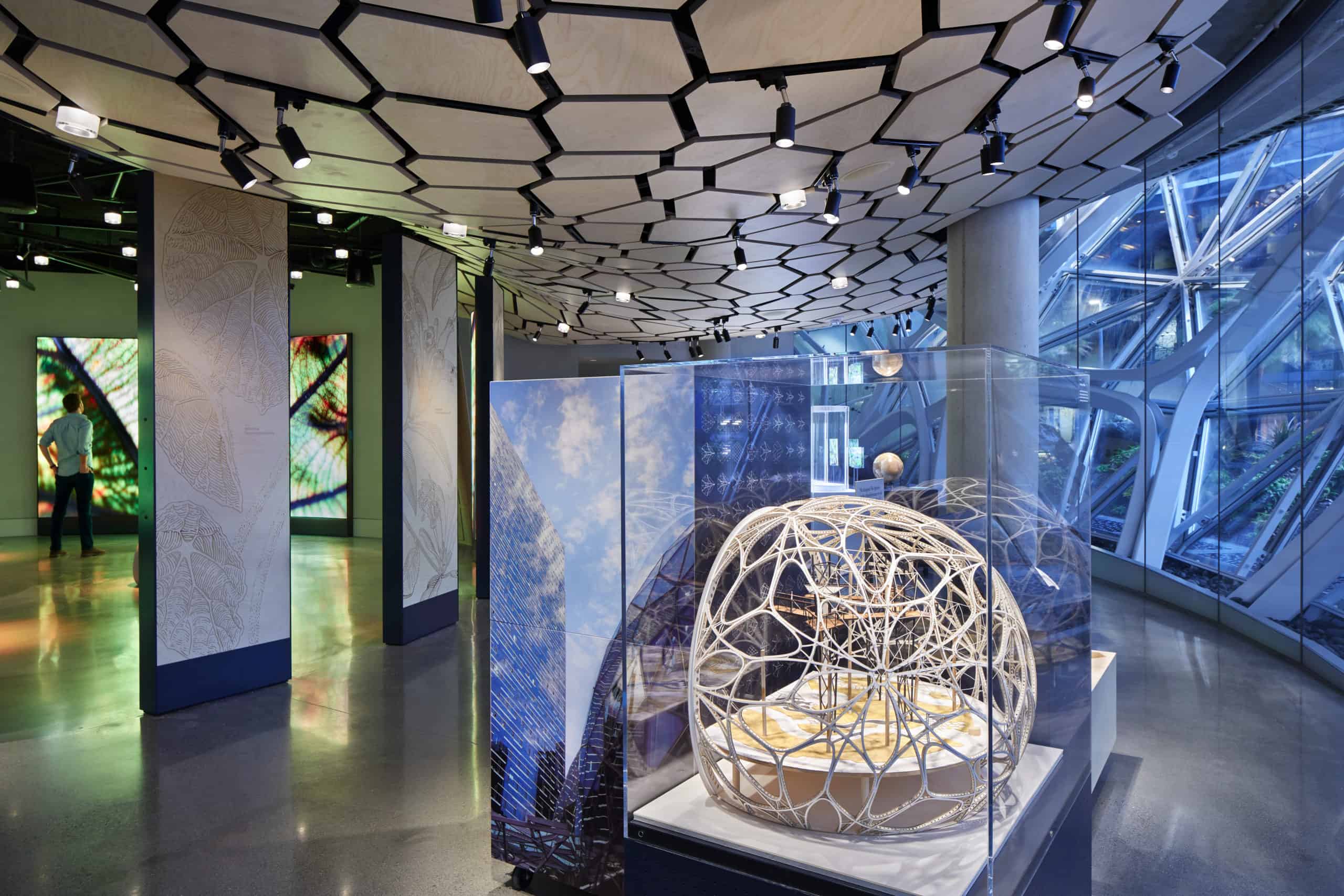 Modern exhibit room: geometric pod sculpture, glass cases, honeycomb ceiling, large windows, spotlight-lit ambiance.